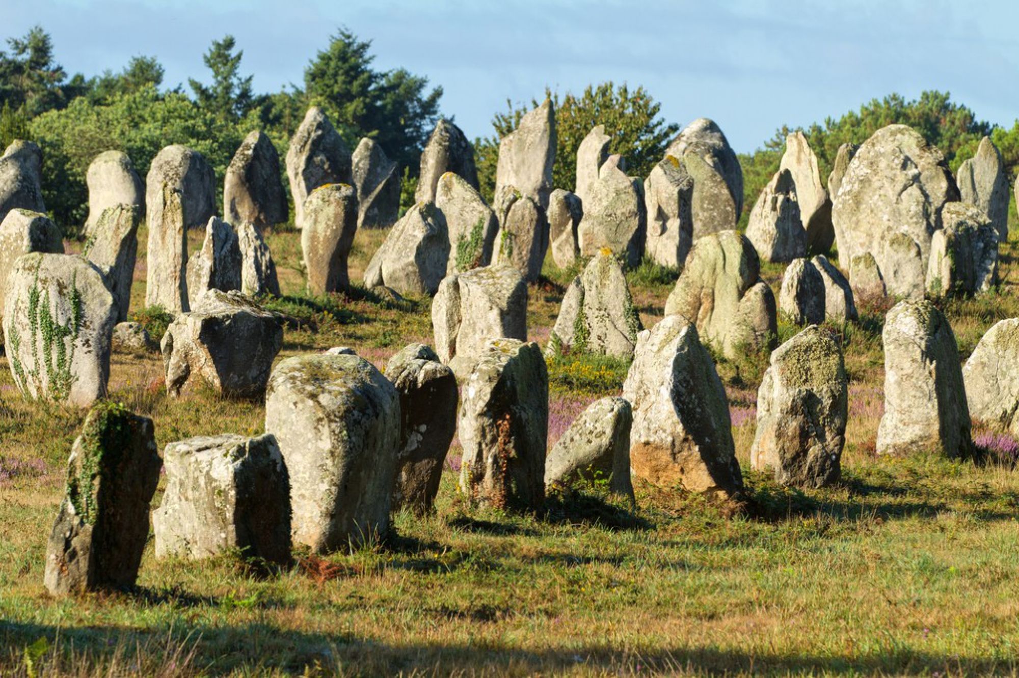 Resultado de imagen de Les menhirs de Carnac patrimoine mondial de l'Unesco