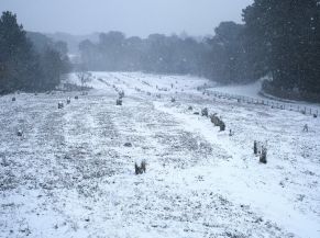 Carnac sous la neige (février 2021)