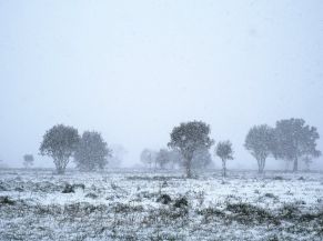 Carnac sous la neige (février 2021)