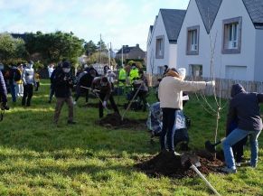 Fête de l'Arbre