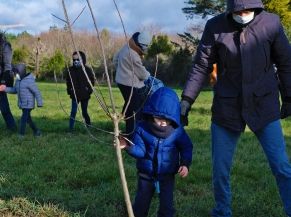 Fête de l'Arbre