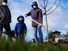 Fête de l'Arbre