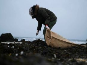 Les Mains dans le sable - Ramassage des déchets sur la Grande Plage de Carnac