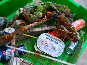 Les Mains dans le sable - Ramassage des déchets sur la Grande Plage de Carnac