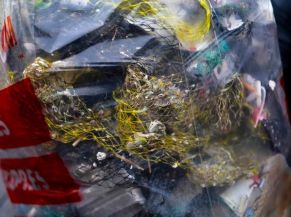 Les Mains dans le sable - Ramassage des déchets sur la Grande Plage de Carnac