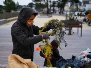 Les Mains dans le sable - Ramassage des déchets sur la Grande Plage de Carnac