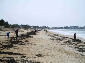 Les Mains dans le sable - Ramassage des déchets sur la Grande Plage de Carnac