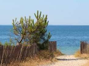 Travaux d'aménagement du Boulevard de la Plage 