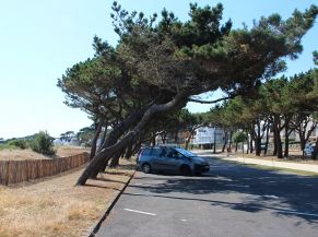 Travaux d'aménagement du Boulevard de la Plage 