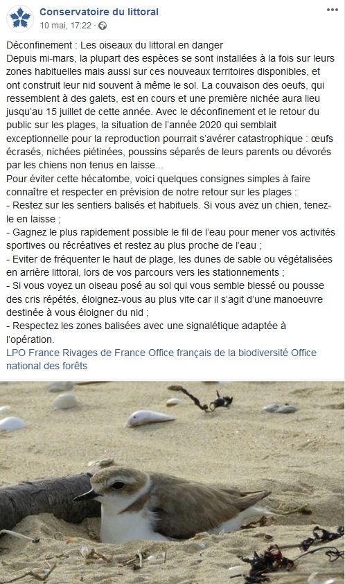 Conservatoire du Littoral_Protection du littoral