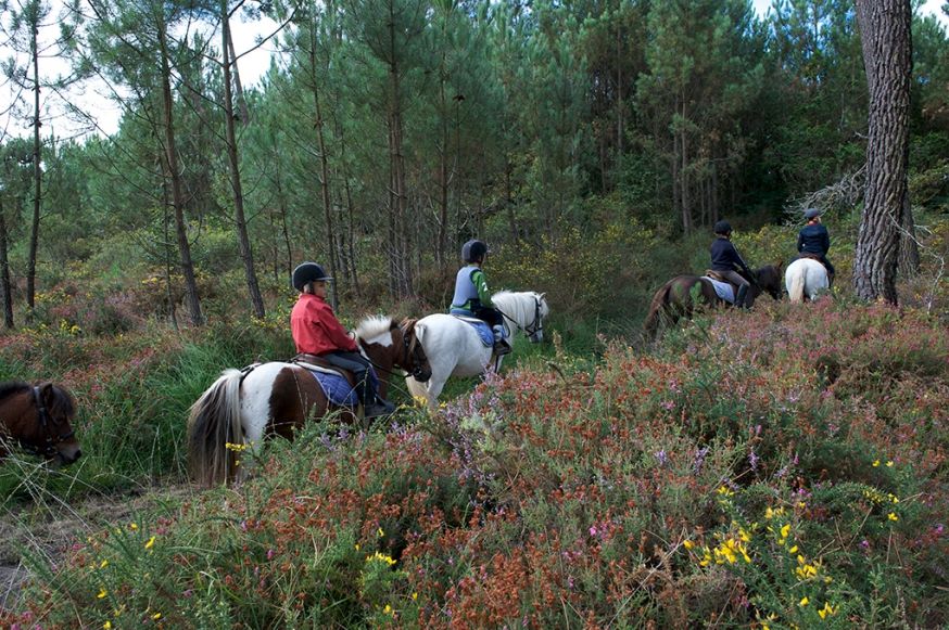 Balades à cheval à Carnac